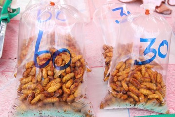Fried silk worms delicious in street food