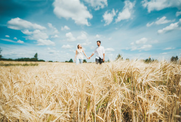 Naklejka na ściany i meble Couple holding hands while walking through field against the background of the blue sky. Selective focus on wheat ears