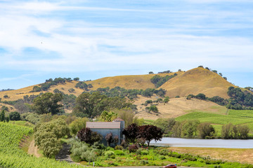 Sunny Wine Country