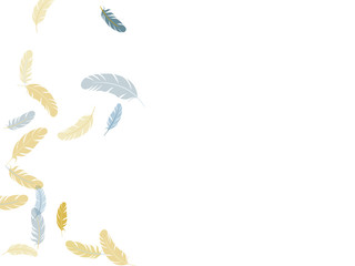 Fluffy twirled feathers on white design.