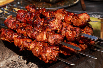 Meat kebab on skewers