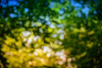 Natural green bokeh abstract background.