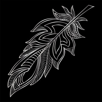 Feather isolated.  Vector illustration.