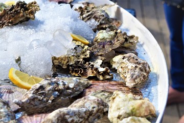 closed oysters with ice on a dish, delicacies of the sea