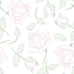 Beautiful seamless pattern with rose. Vector illustration. 