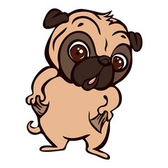 Shocked pug icon. Cartoon of shocked pug vector icon for web design isolated on white background