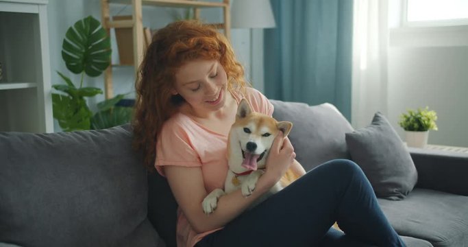 Caring pet owner beautiful curly-haired woman is talking to adorable shiba inu dog sitting on couch in apartment. Love, animals and house concept.