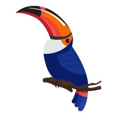 Toucan bird icon. Cartoon of toucan bird vector icon for web design isolated on white background © anatolir
