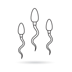 sperm male reproductive cell icon- vector illustration