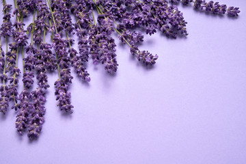 Lavender flowers bouquet on purple background. Copy space, top view. Summer background