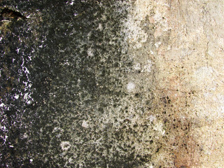 Obraz premium Moldy old wall.