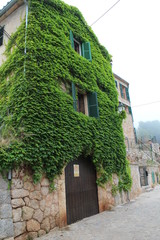 Ivy on house in narrow street in Valldemossa, West Coast, Mallorca, Spain