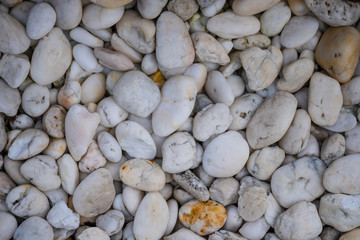 White pebbles for background and texture. Rock or stone pebble is sign of spa and zen religion.