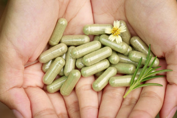 Herbal medicine with herb for healthy eating lifestyle 