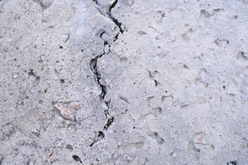 Detail of a gray wall close up. Cinderblock garage, detailing the outside of the garage wall