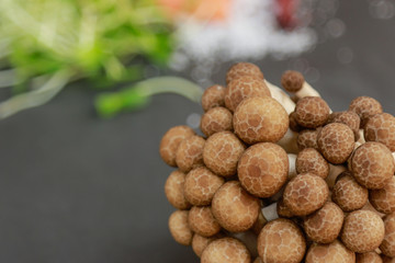 Shimeji mushroom in raw on wooden bowl for cooking ingredient in kitchen 