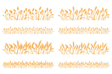 Vector silhouette of wheat. Set. Wheat in a field on a white background - obrazy, fototapety, plakaty