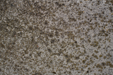 Detail of a gray wall close up. Cinderblock garage, detailing the outside of the garage wall