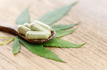 Herbal medicine with herb for healthy eating lifestyle with cannabis 