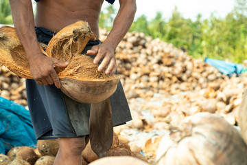 Closeup hand workers peeling coconut with an outdoor pointed knife.