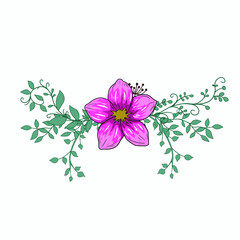 flowers on white background