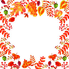 Obraz premium Watercolor illustration: frame of colored autumn leaves on a white background