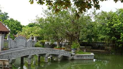 bonsai in DUNG TAN - SONG CONG city - THAI NGUYEN province - Vietnam