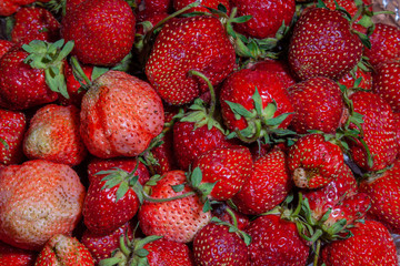 Freshly picked strawberries. Close-up.