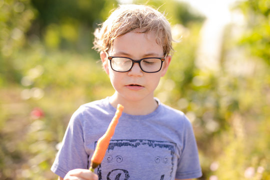 Cute blond boy holding basket with organic fresh carrot in vegetable garden