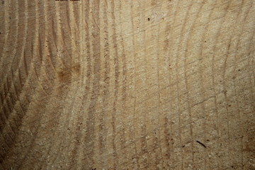 Fototapeta premium texture planche