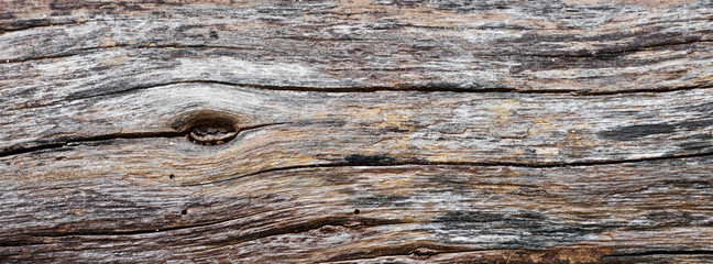 old natural wood texture for banner background