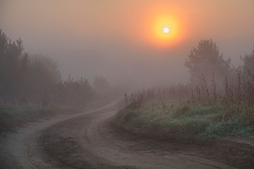 Obraz premium Road in the fog