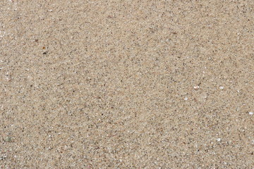 Wet sand on tropical beach