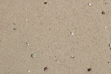 Closeup of the wet sand at the shoreline in Puerto Vallarta