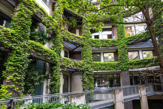 Grünes Wohnen/Grüne Architektur - begrünter Innenhof mit Pflanzen