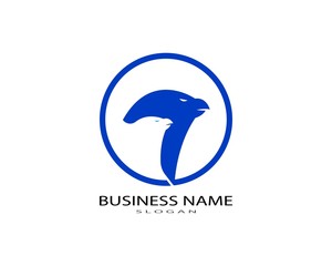 Falcon Eagle Bird Logo Template vector icon