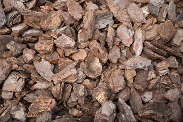 Brown wood shavings, wood chips background. Closedup.