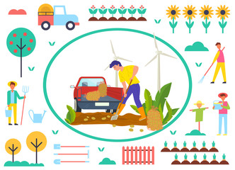 Farmer working on potato field vector, man using shovel and tractor to transport vegetables. Scarecrow and tree, car and sunflowers, fence and carrots on farm