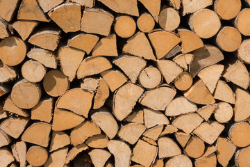 Cross section of tree trunks background. Decoration of cutting tree. Cutting tree trunks placed together for interior decorate, background