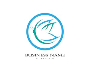Butterfly Logo Template
