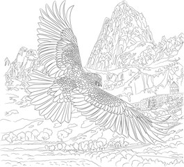 The eagle flies over the mountains - drawing for coloring, black outline on a white background.