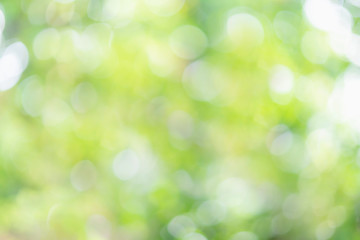 Abstract circle green natural bokeh background, ecology, energy concept. For edit poster, web, banner.