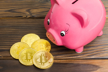 Pig bank and a drop gold bitcoins on the dark brown wooden background, a saving money for future investment concept.