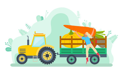 Car loaded with vegetable vector, character filling tractor with gathered products. Harvesting season, transportation of food. Farmer and machine