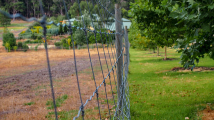 cyclone fence at the border to farmland in Margaret River, Western Australia