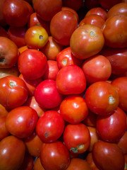 Many tomatoes in a crate