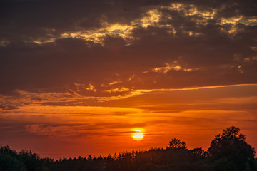 The setting sun behind trees and dark clouds