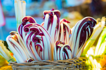 Radicchio tardivo, italian red chicory, red salad healthy vegetables on the market.