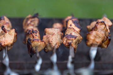 Shish kebab cooking on the barbecue in nature. Selective focus.