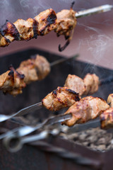 Shish kebab cooking on the barbecue in nature. Selective focus.